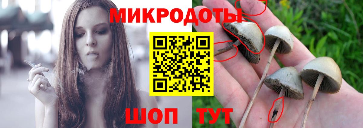 Дзержинск  Псилоцибиновые грибы мицелий  Вход с VPN  Псилоцибиновые грибы Cubensis 